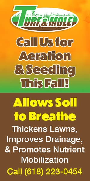 dfpads/300x600/tsturfandmole_aeration_300x600.png