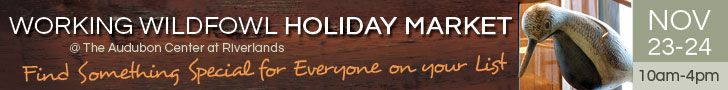 dfpads/leaderboards/audubon-holidaymarket-leaderboard.jpg