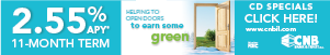 dfpads/mobile/cnb_earnsomegreen_300x50.png