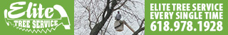 dfpads/mobile/elitetreeservice_320x50.jpg