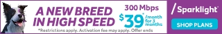 dfpads/mobile/sparklight_newbreedinhighspeed_320x50.jpg