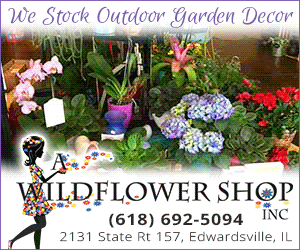 dfpads/prerolls/AWildflowerShop_300x250.gif