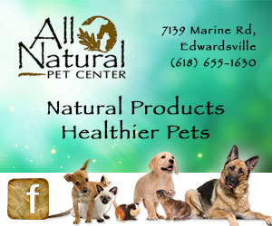 dfpads/prerolls/All_Natural_Pet_300x250.jpg