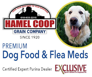 dfpads/prerolls/Hamel_Co-Op_Classified_Sponsor_300x250.jpg