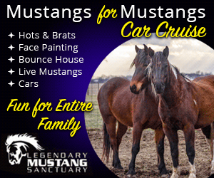 dfpads/prerolls/LegendaryMustangSanctuary_CarCruise2018.gif