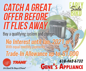 dfpads/prerolls/genes-appliances-spring-2016.jpg