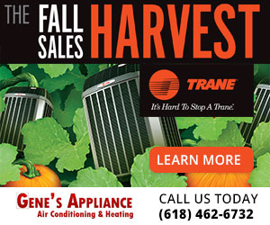 dfpads/prerolls/genes-fallharvest-300x250.jpg