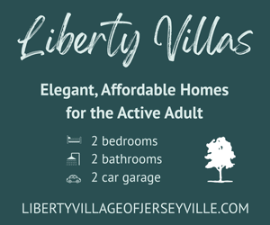 dfpads/prerolls/libertyvillageofjerseyville_thevillas-forsale_300x250.gif
