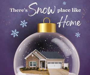 dfpads/prerolls/libertyvillageofjerseyville_thevillas-purpleornament_300x250.gif
