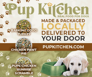 dfpads/prerolls/pupkitchen_300x250.gif