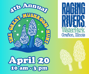 dfpads/prerolls/ragingrivers_greatmushroomhunt_300x250.gif