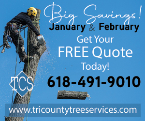dfpads/prerolls/tri-county_bigsavings_300x250.jpg