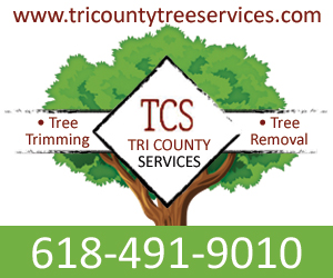 dfpads/prerolls/tri-county_extendednetwork_300x250.jpg