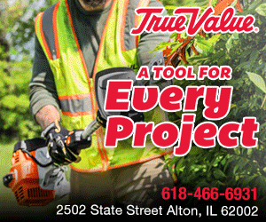 dfpads/prerolls/truevalue_everyproject_300x250_revised.gif
