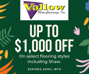 dfpads/prerolls/vallow_springfloorextra_300x250.png