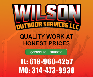 dfpads/prerolls/wilsontreeservice_300x250.png