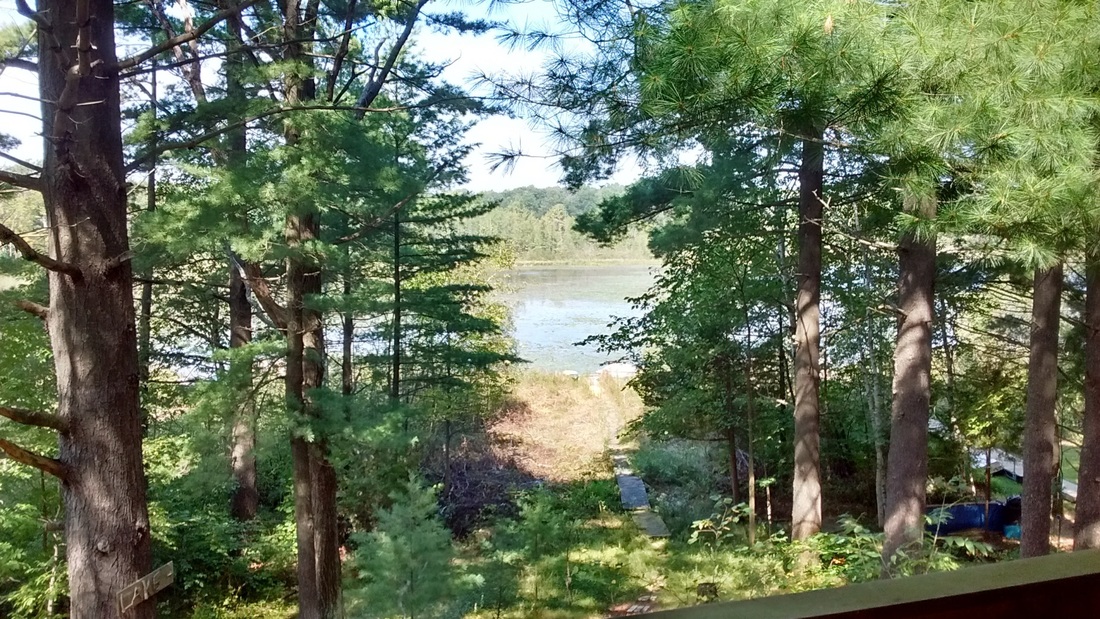 Rent Like A Champion Cozy cabin on lake in Iola