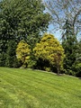 Img 2066