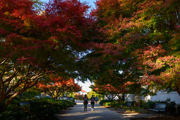Fall on the University of Mississippi campus. Photo by Thomas Graning/Ole Miss Digital Imaging Services