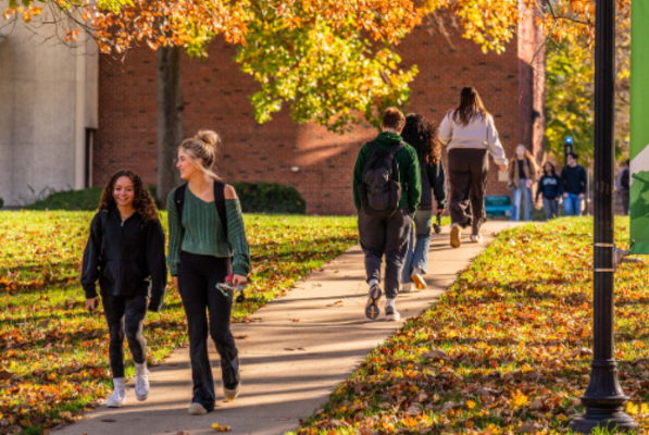 Representation of the achievement named 'Illinois Wesleyan Announces Fall 2024 Dean's List'.