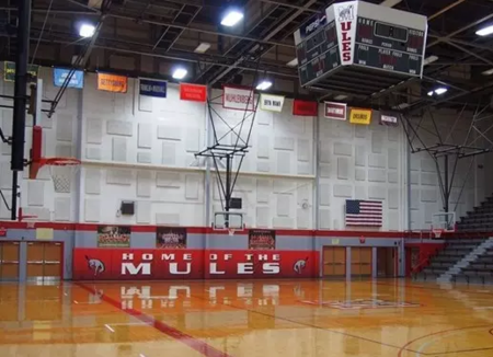 Students Compete in NCAA Winter Athletics at Muhlenberg College