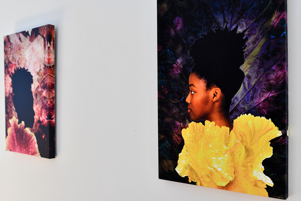 “Who Made the Greens,” left, and “Collards and Irises” are two of the pieces of art by artist Natalie Jackson of Peoria, Illinois, in the show “Baroque Beauties.” The show runs through April 10 in the Lindsey Wilson University Lucretia C. Begley Art Gallery.