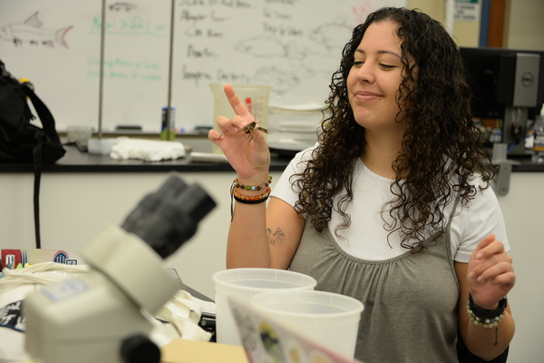 Representation of the achievement named 'Katie Stewart '26 wins research poster award '.