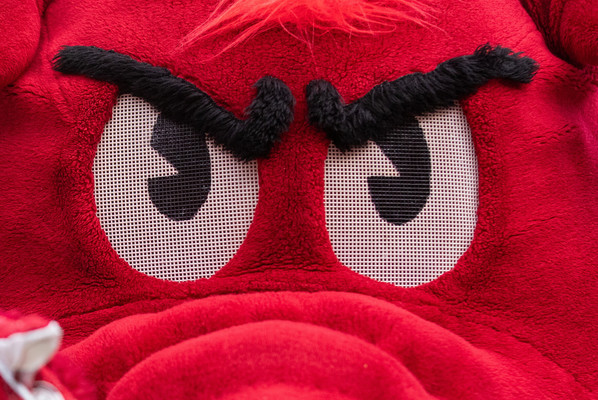 Representation of the achievement named 'Arkansas places 85 student-athletes on 2025 Fall SEC Academic Honor Roll'.