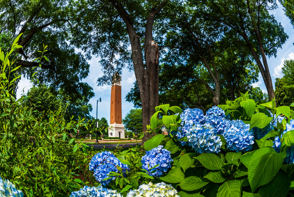 Representation of the achievement named 'University of Alabama Students Inducted Into Blue Key Honor Society'.