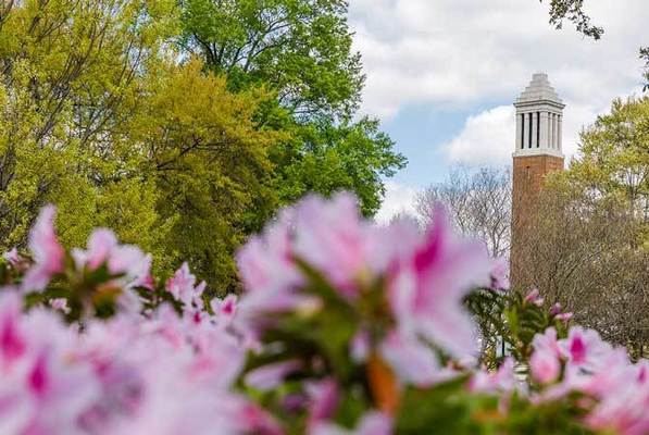 Representation of the achievement named 'UA Students Inducted into Mortar Board during Honors Week 2026'.