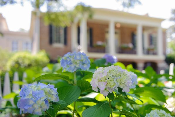 Representation of the achievement named 'UA Students Inducted into Anderson Society during 2026 Honors Week'.