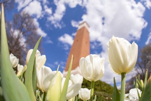 Representation of the achievement named 'UA Students Receive Cleophus Thomas Award During Annual Tapping on the Mound Ceremony'.