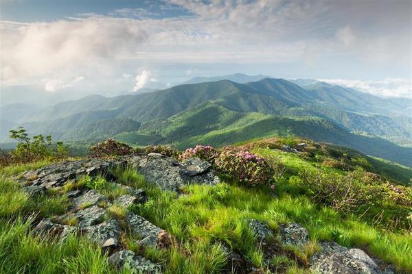 A grassy bald on Roan Mountain.
