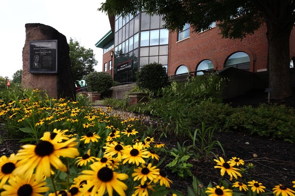 Black-eyed Susan flowers bloom outside of Ohio Wesleyan's Hamilton-Williams Campus Center on a warm day.