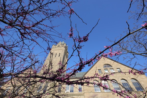 This outdoor photograph shows Ohio Wesleyan's signature building, University Hall, viewed through a web of flowering trees.