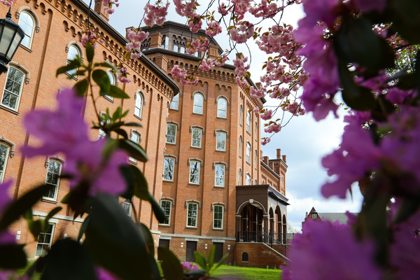 A large academic building framed with cherry blossom flowers. 