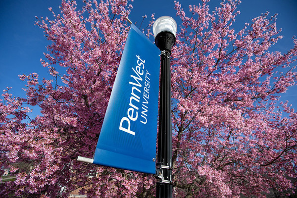 PennWest University flag in front of pink flowering tree.