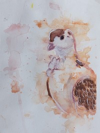 A watercolor painting of a bird.