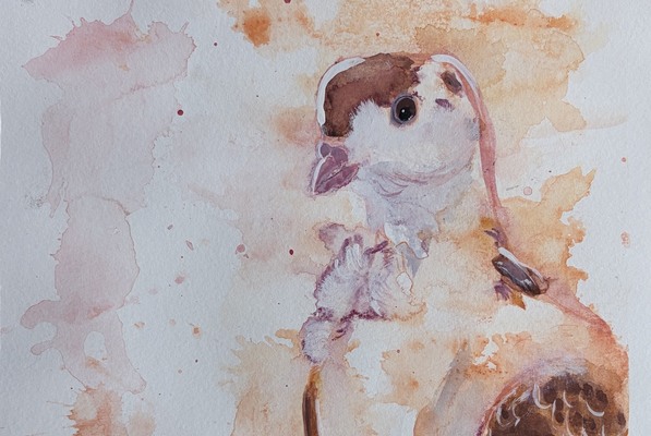 Hugh C. Williams High School Canton student Giovanna Pantoja-Wilson's work, “Mable,” is set to be featured at the St. Lawrence County High School Art Show at the Gibson Gallery, SUNY Potsdam.