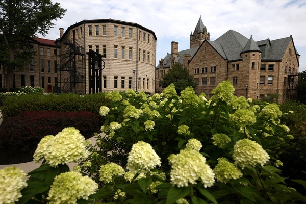 White hydrangeas grow outside Ohio Wesleyan's Slocum Hall and University Hall.