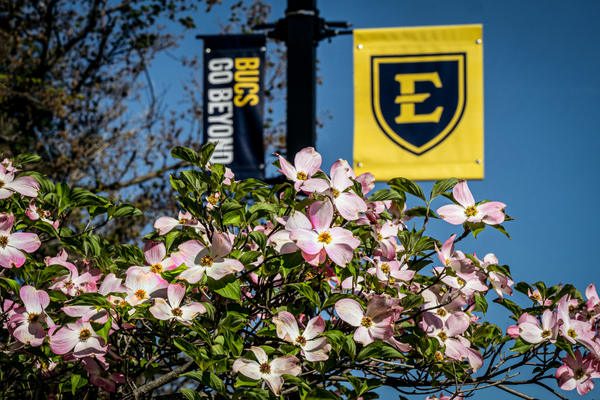 Flowers bloom on ETSU's main campus.
