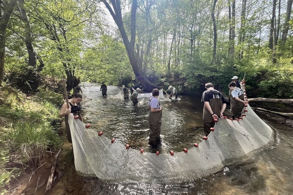 Young Harris College students are working with the Georgia Department of Natural Resources to sample a state-endangered fish in Brasstown Creek, the Sicklefin Redhorse.