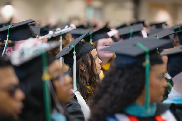 Several graduates wearing black graduation caps and gowns with green tassles. 