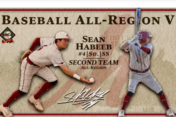 Sean Habeeb in baseball action poses