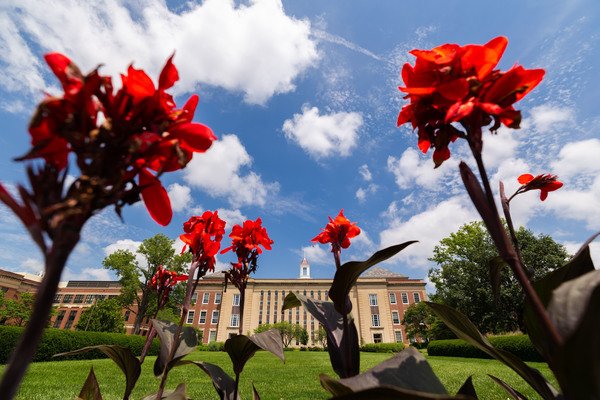 Love Library South is seen behind tall red flowers on a partly cloudy day.