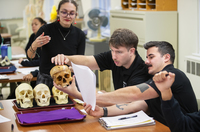 Students examine replicas of human skulls during a class at SUNY Potsdam.