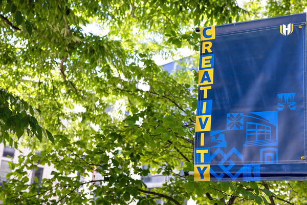 Hofstra Pole Banner