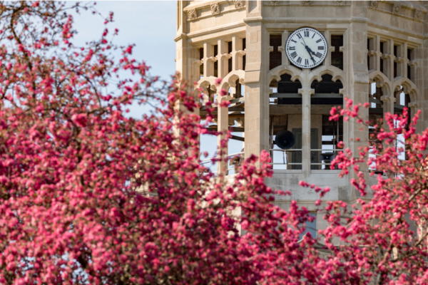 A clock tower on Muhlenberg's campus with spring blooms in the foreground