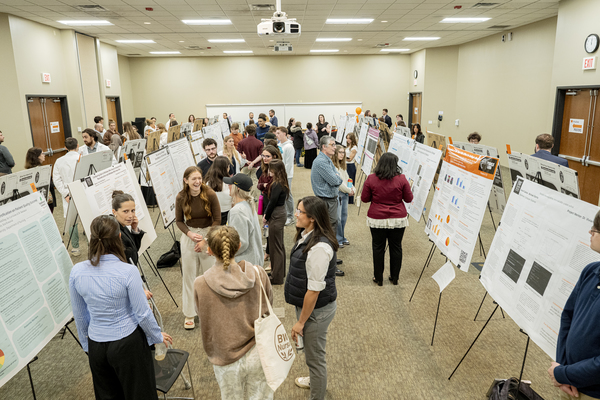 Poster displays at Baldwin Wallace University's  Ovation Festival 2026