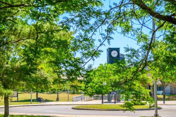 Summer view of Hudson Valley Community College campus with a clock tower framed by green tree branches.